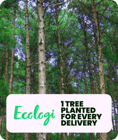 Ecologi image